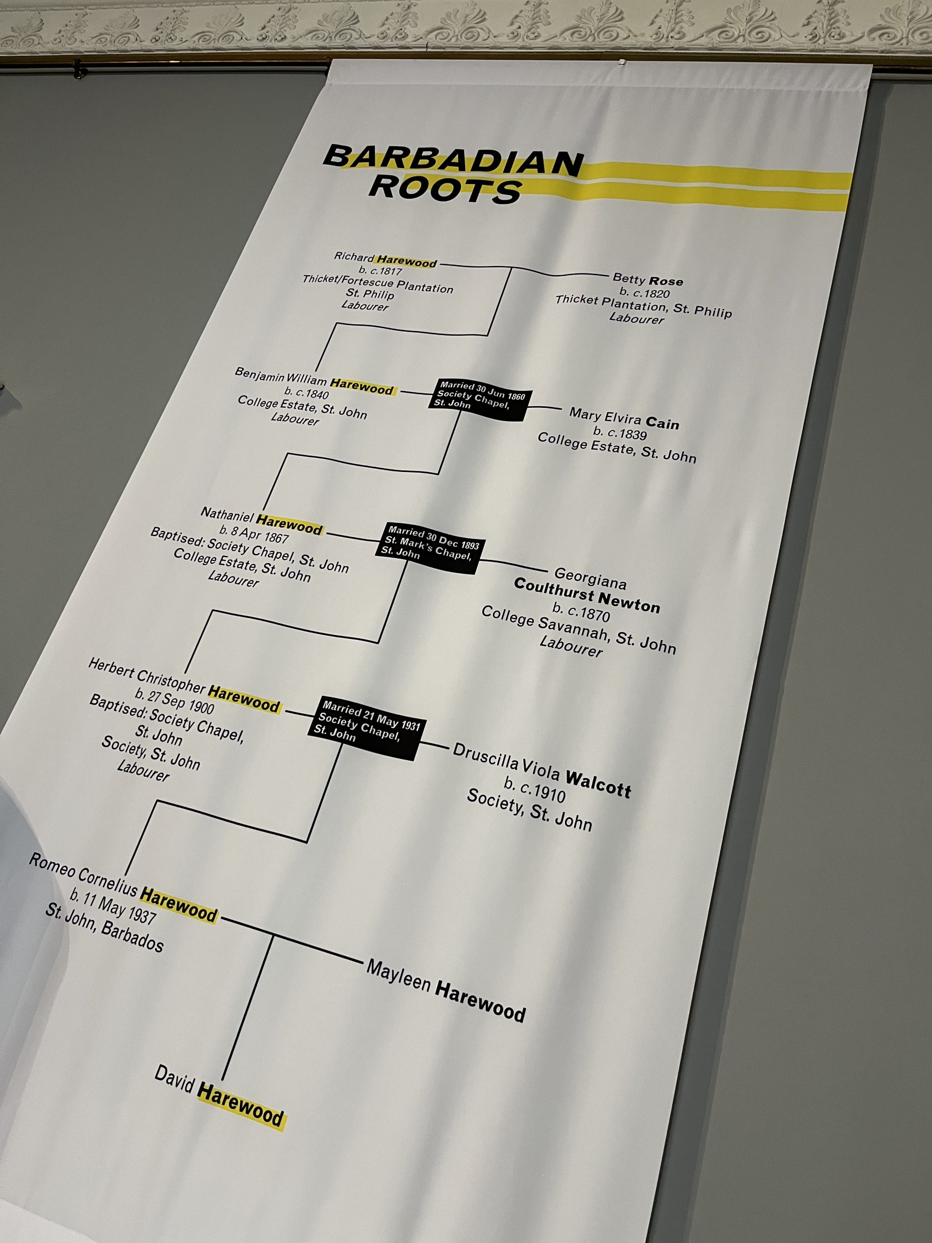 A large white banner hung on a grey-blue wall with the title 'Barbadian Roots' and a graphic of David Harewood's family tree.