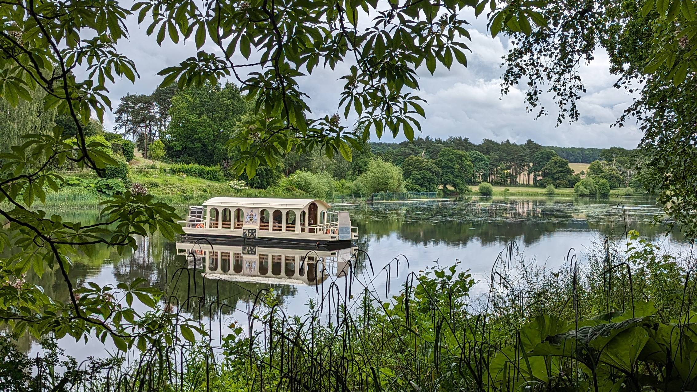 A peaceful scene of a Harewood chain Ferry crossing the calm lake, bordered by vibrant trees, showcasing the harmony of nature. Woodland frames the horizon with Harewood Estate stretching into the distance.