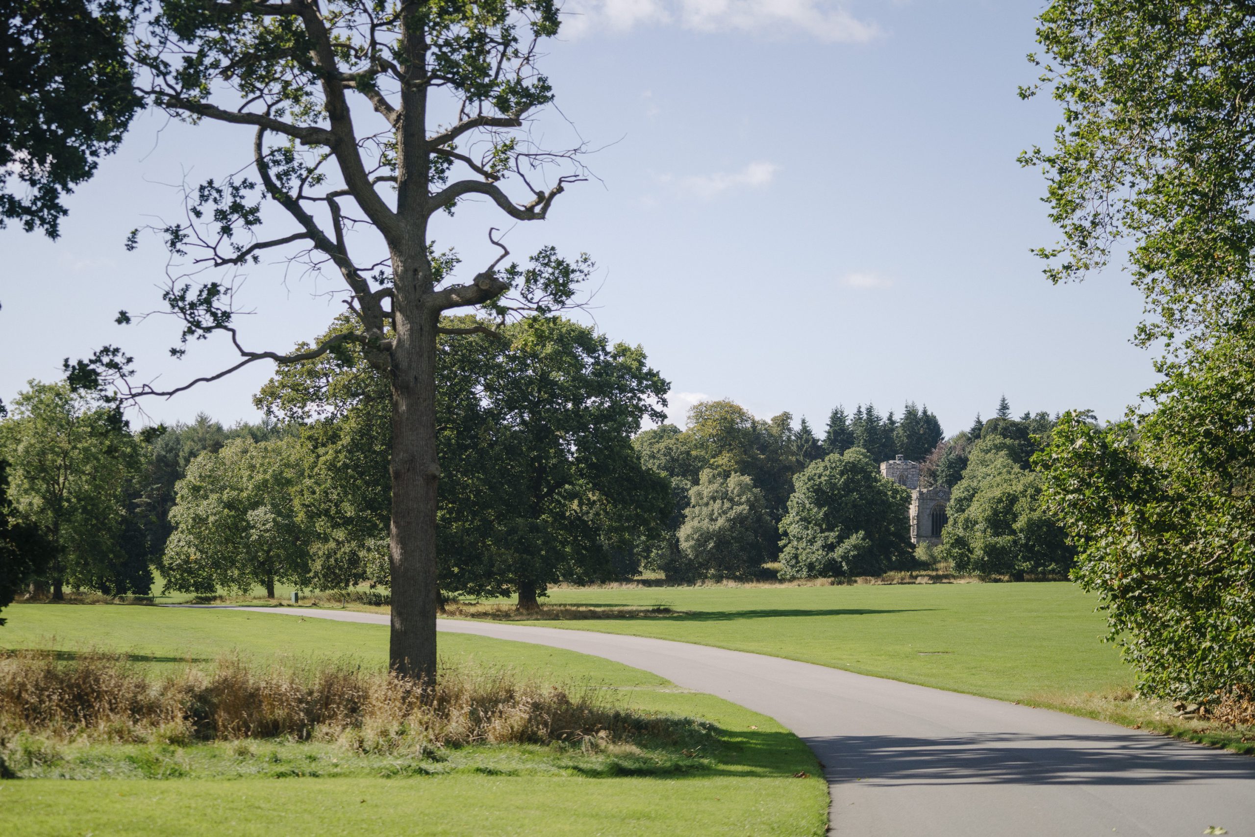 Long paved driveway stretches into the distance surrounded by greenery under a clear blue sky