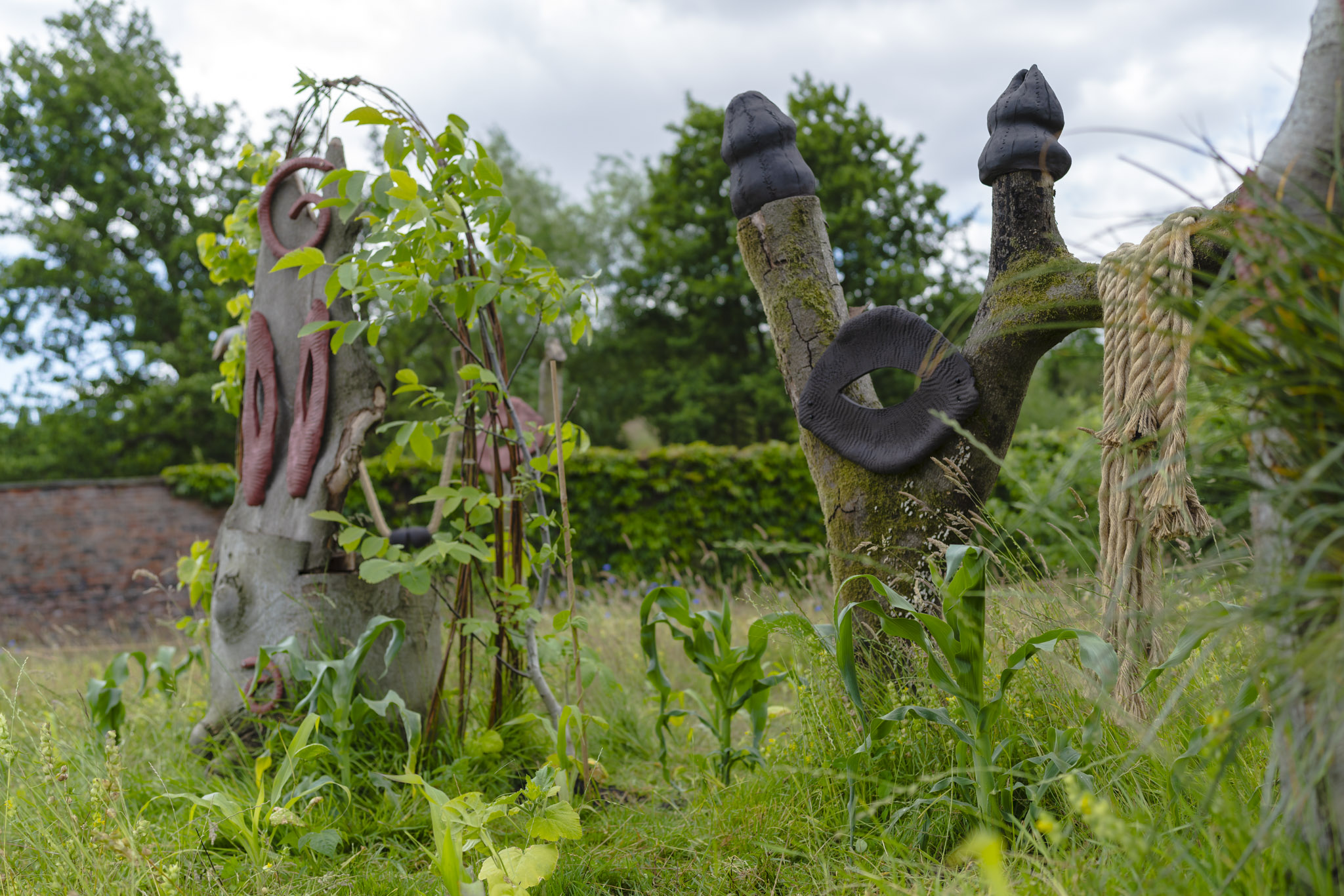 Sweetcorn, beans and squash grow in the walled garden surrounded by wildflowers. A sculpture made from fallen trees stands in the middle of the garden.