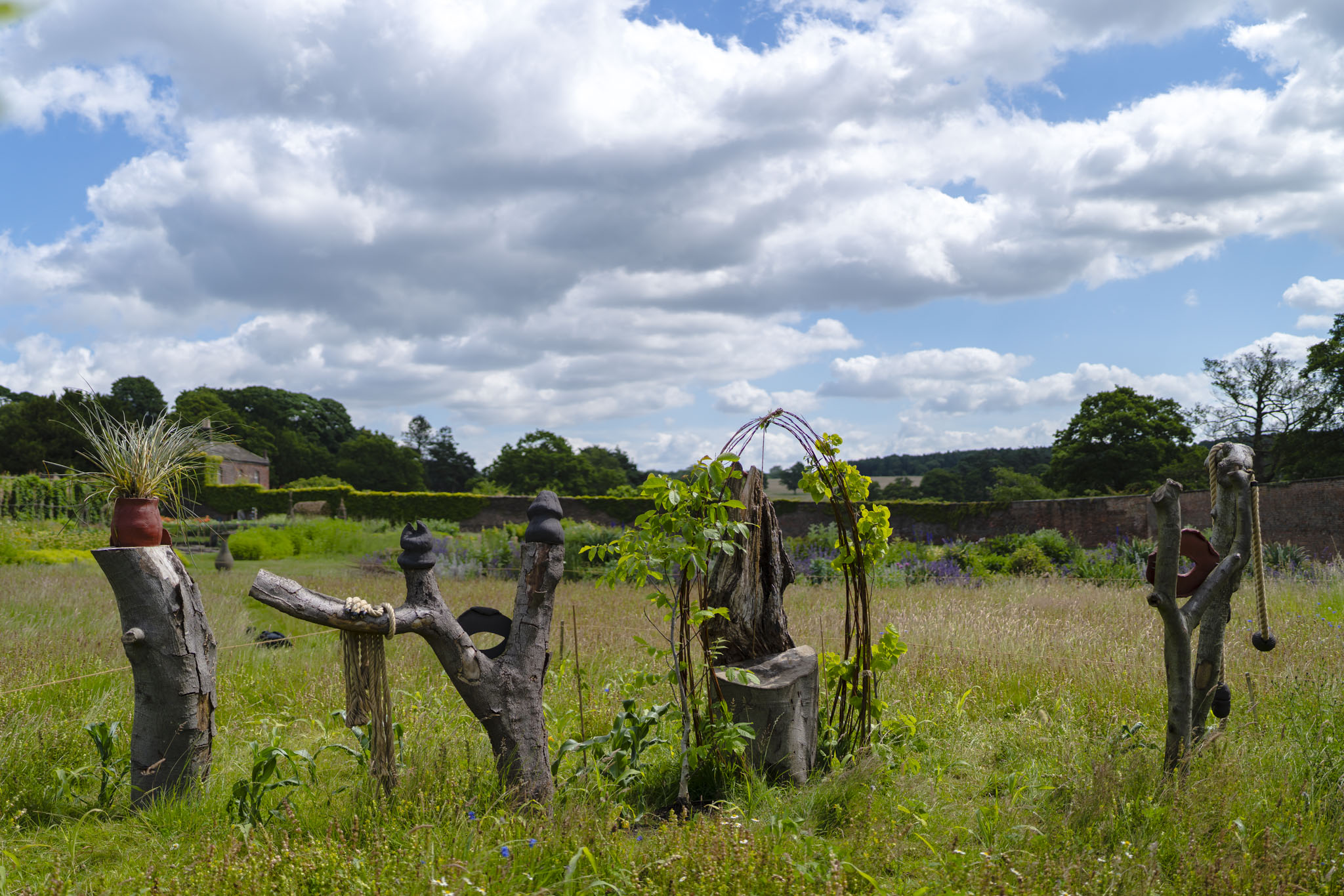 Lush wildflower meadow beneath a blue sky filled with fluffy clouds. Lucia Pizzani's living sculpture made from fallen trees stands in the foreground with the walled garden is softly out of focus