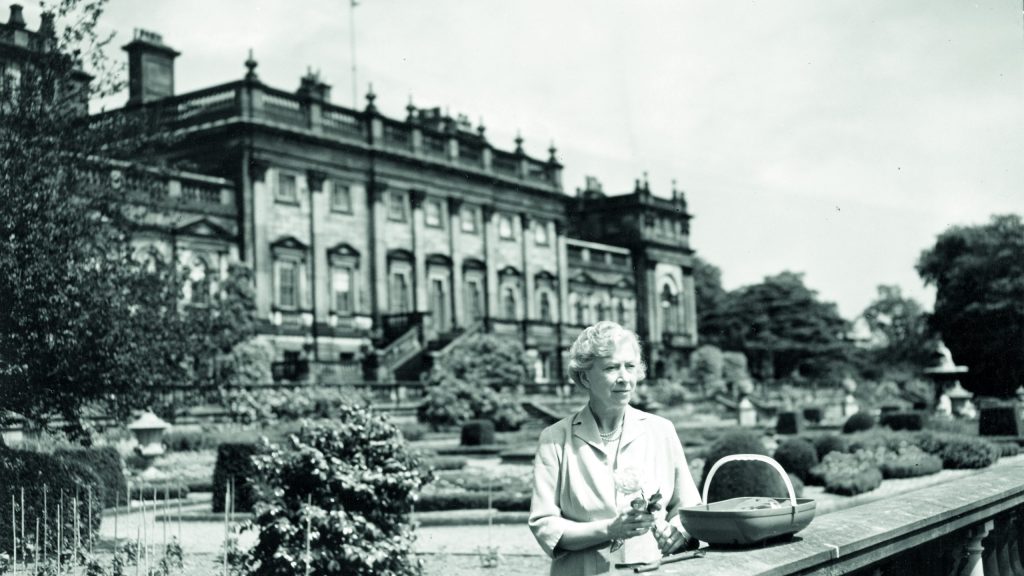 Black and white photograph of HRH Princess Mary holding cuttings from the Terrace garden. Tomatoes are growing down in the left hand side with the italian parterre garden softly out of focus. Harewood House stands in the background.