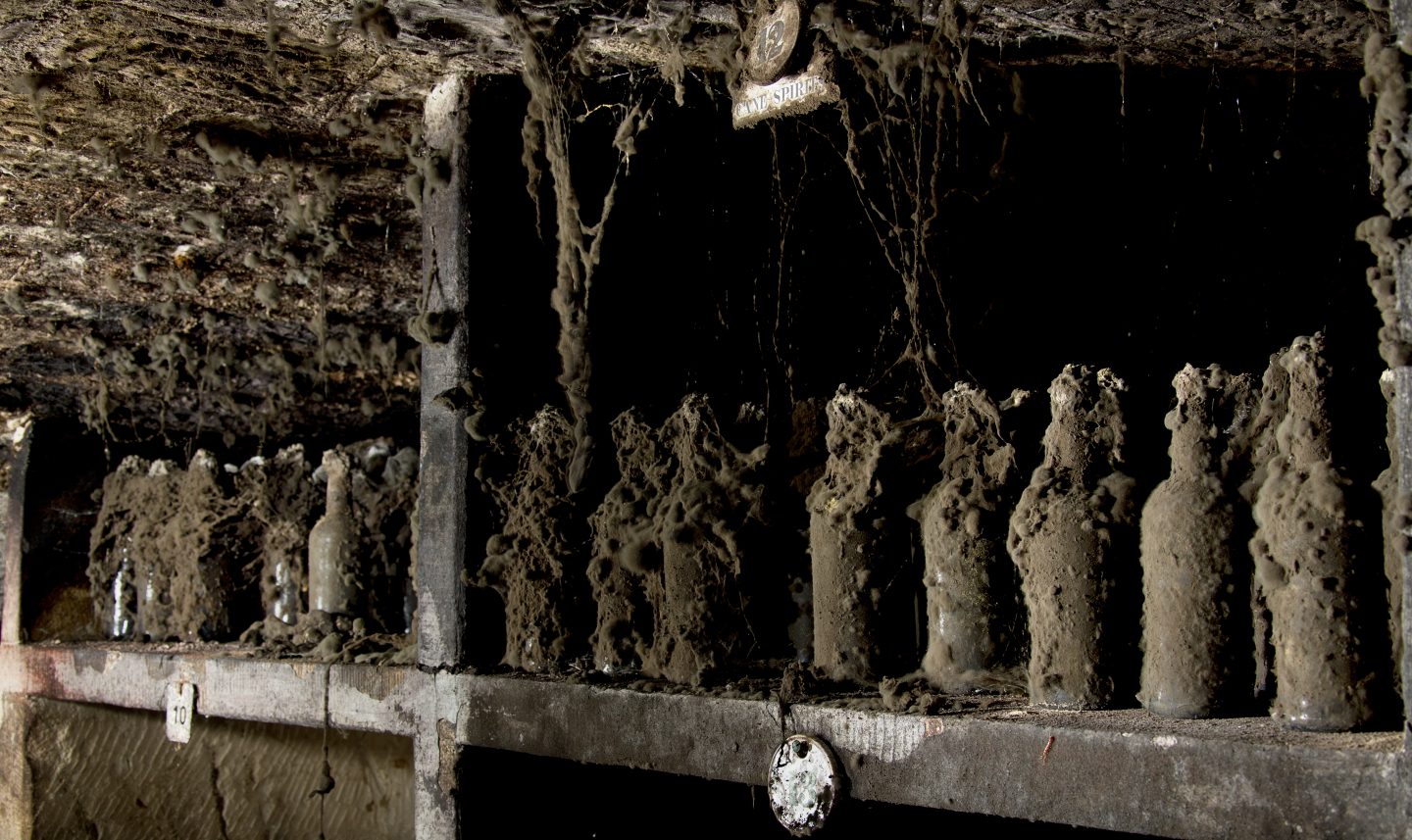 At the back of a dark cellar, stands a row of over 20 brown bottles thick with dust, dirt and cobwebs.