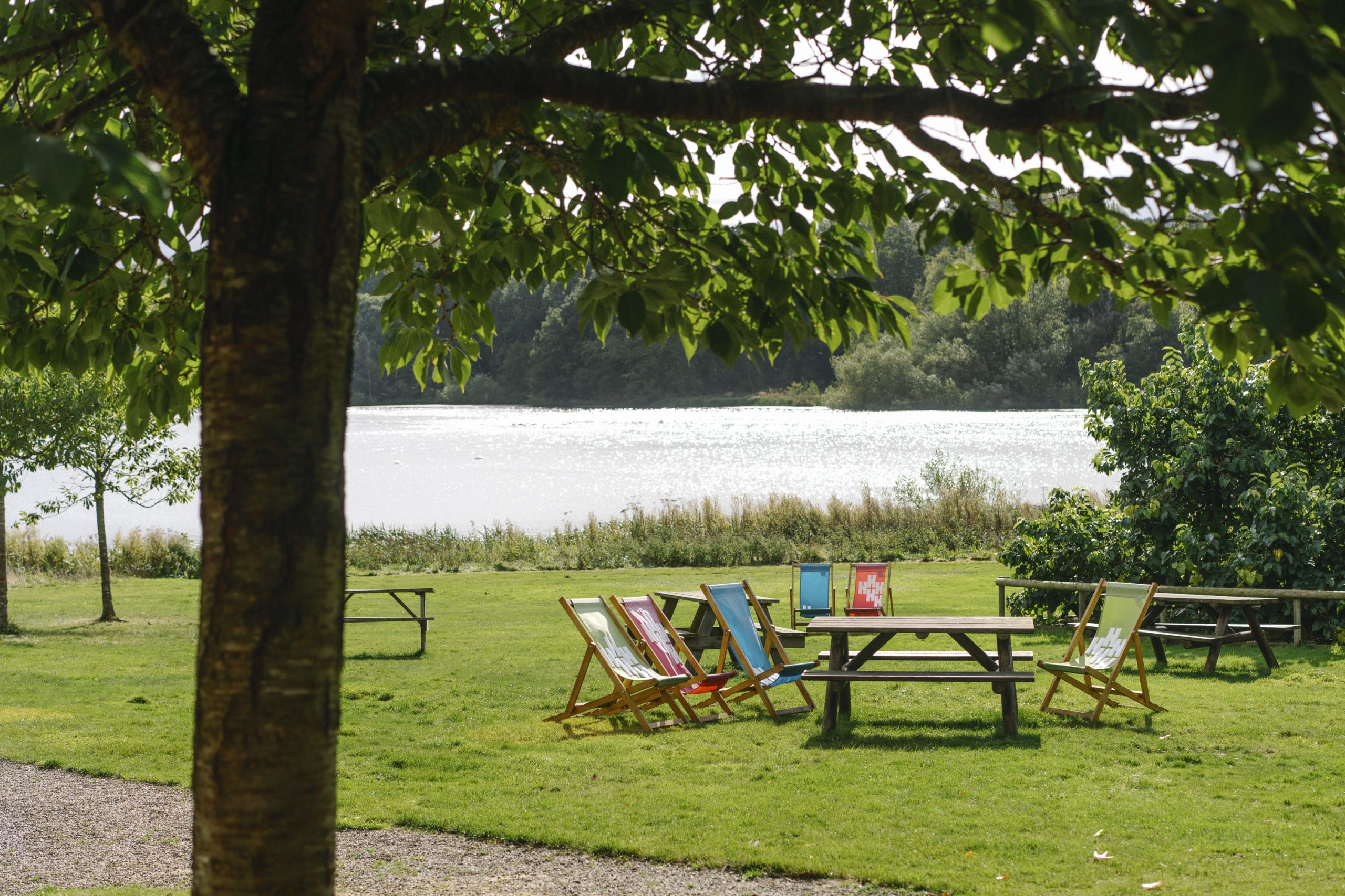 Lush green branches of a tree frames the Bothy Lawn which has 4 picnic benches and 6 brightly coloured deck chairs inviting visitors to bring a picnic to Harewood.