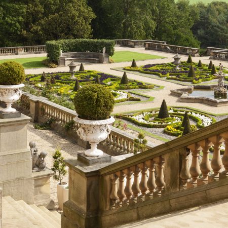 View of the Italian Parterre from the top of the Terrace steps. The parterre and sweeping flower borders feature a vibrant array of plants, including perennials, roses, climbing plants, and tender exotics, all carefully designed to complement the neo-classical architecture of Harewood House.