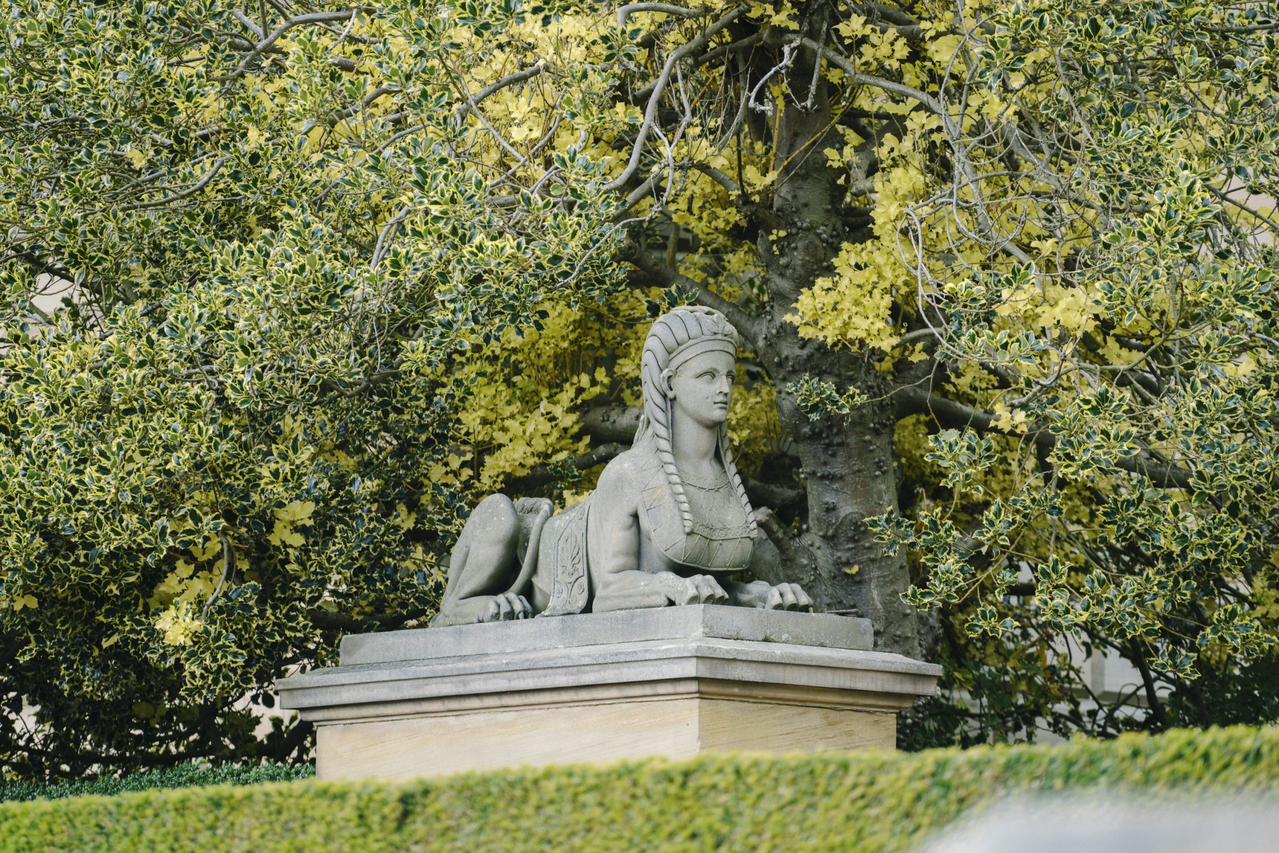 Stone sphinx statue guards the entrance to the Terrace surrounded by an incredible array of trees and hedges.