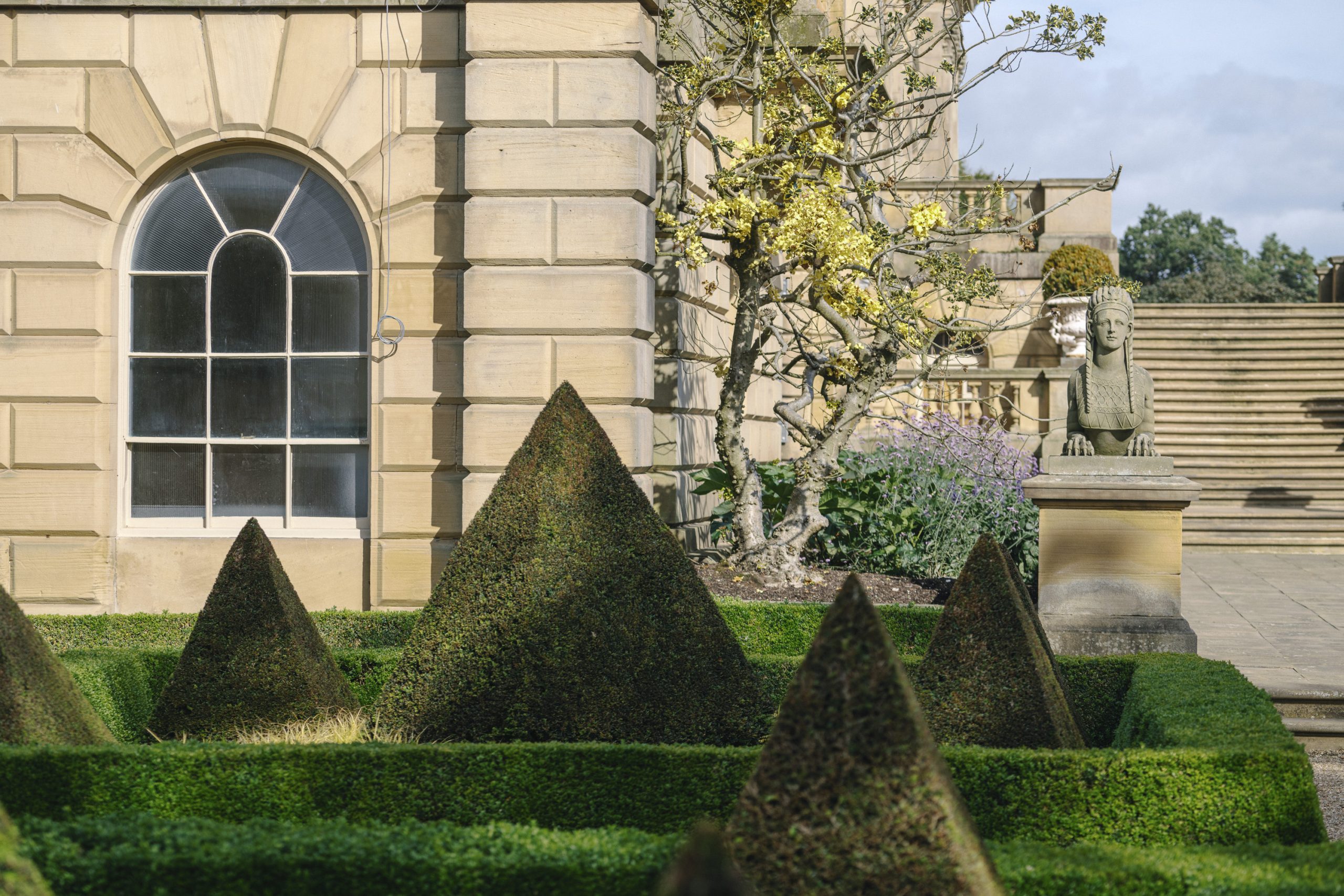 Topiary pyramids surrounded by lush green hedging. In the background stone sphinx statue guards the stairs up to the Library on the Terrace. Lavender and Magnolia grown to the side of the house.