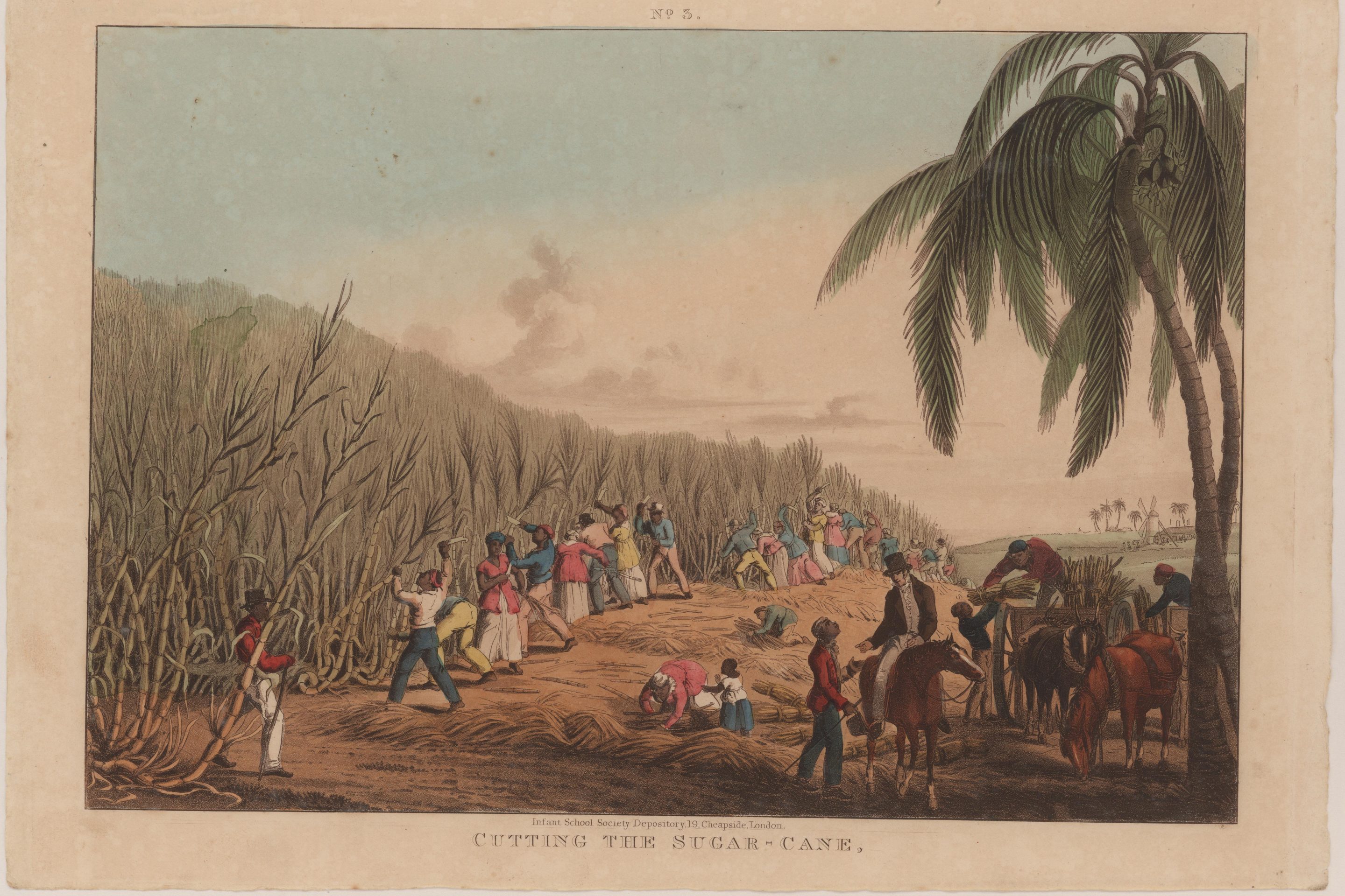 A historical illustration of enslaved people cutting sugar cane