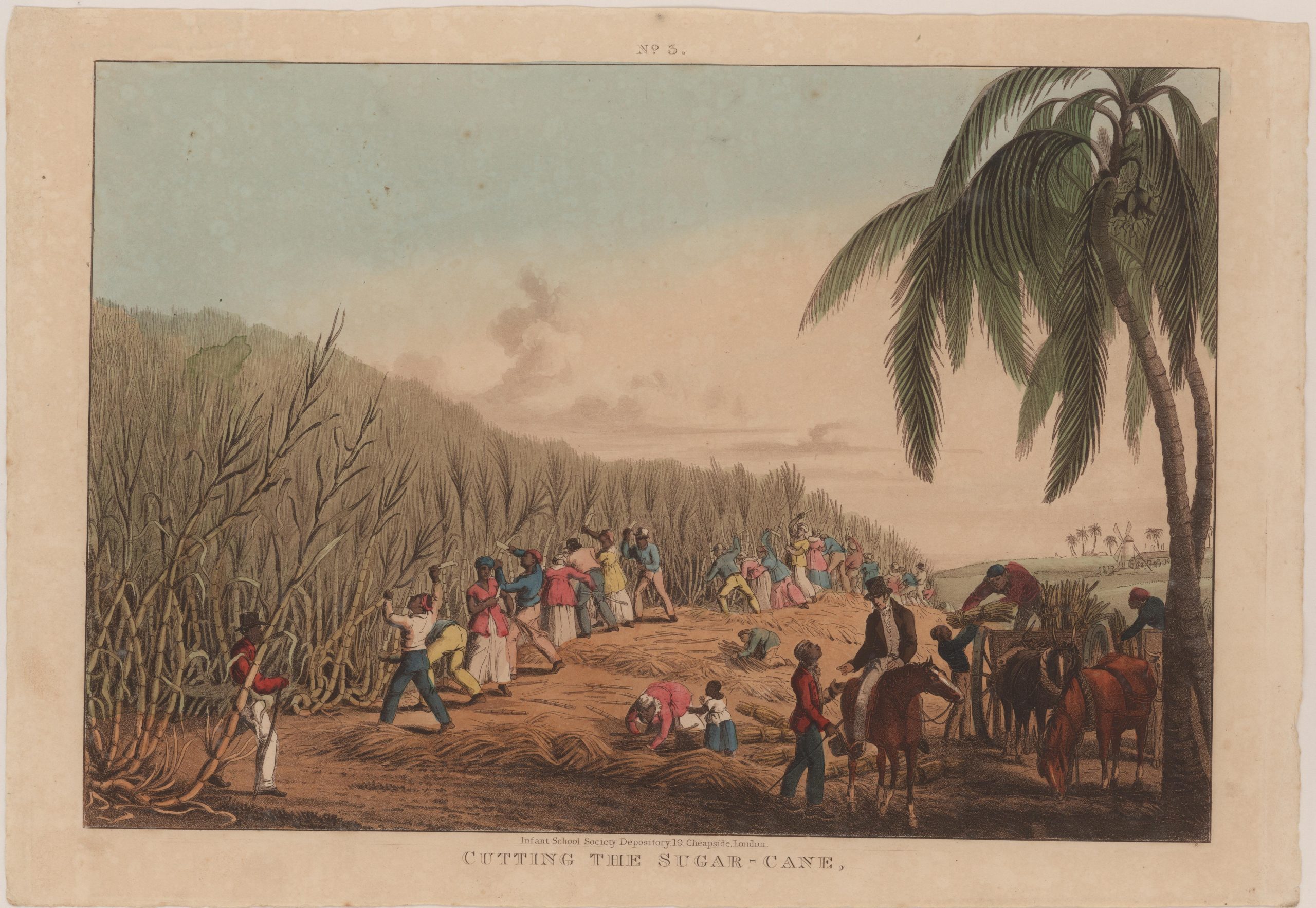 A historical illustration of enslaved people cutting sugar cane