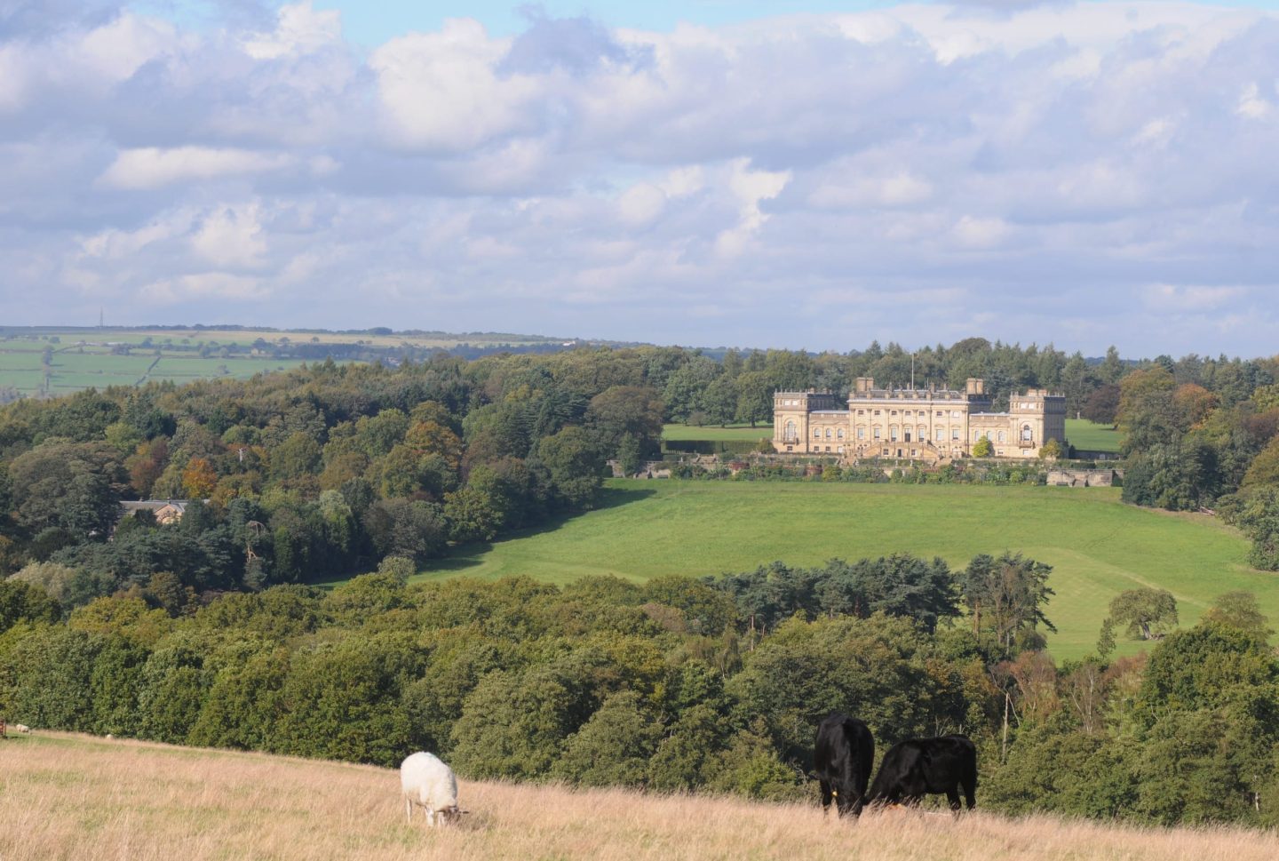 Link to page: The Estate